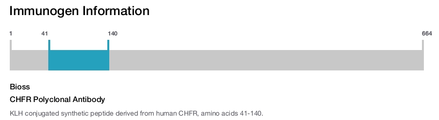 CHFR Polyclonal Antibody