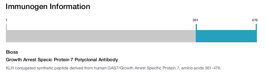 Growth Arrest Specic Protein 7 Polyclonal Antibody