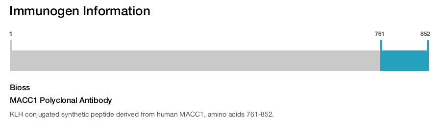 MACC1 Polyclonal Antibody