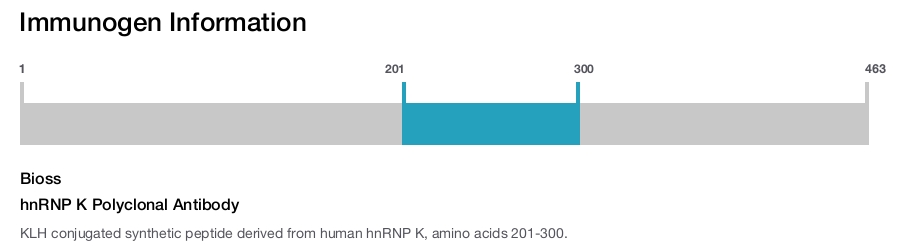 hnRNP K Polyclonal Antibody