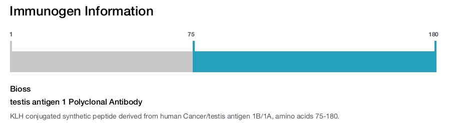 testis antigen 1 Polyclonal Antibody