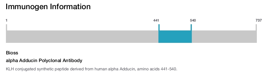 alpha Adducin Polyclonal Antibody