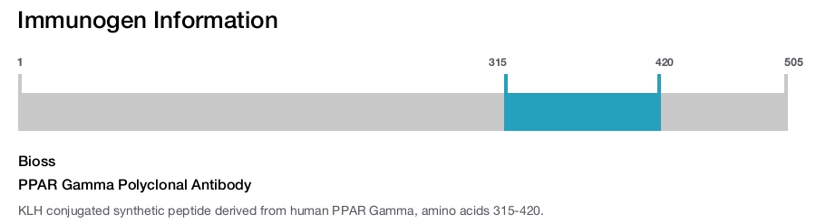 PPAR Gamma Polyclonal Antibody