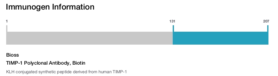 TIMP-1 Polyclonal Antibody, Biotin