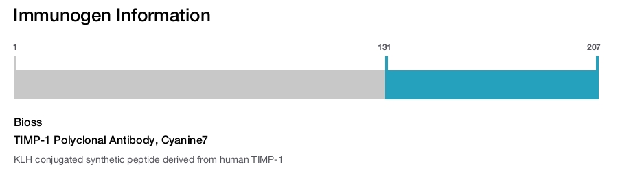 TIMP-1 Polyclonal Antibody, Cyanine7