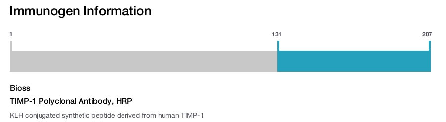 TIMP-1 Polyclonal Antibody, HRP