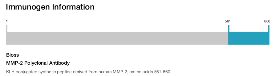 MMP-2 Polyclonal Antibody