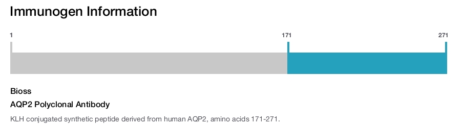 AQP2 Polyclonal Antibody