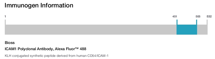 ICAM1 Polyclonal Antibody, Alexa Fluor&trade; 488