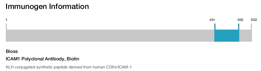 ICAM1 Polyclonal Antibody, Biotin