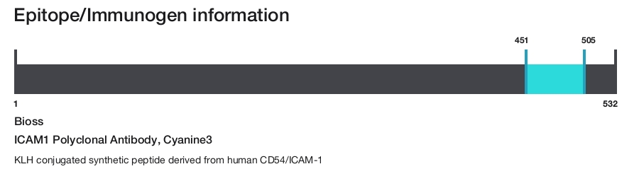 ICAM1 Polyclonal Antibody, Cyanine3