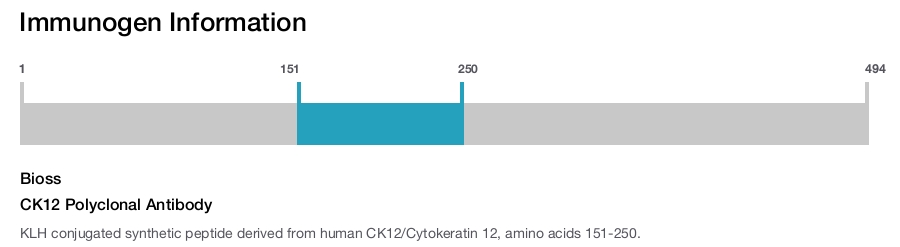 CK12 Polyclonal Antibody