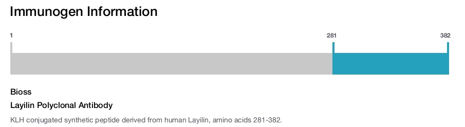 Layilin Polyclonal Antibody