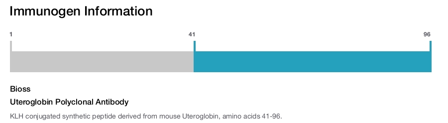 Uteroglobin Polyclonal Antibody