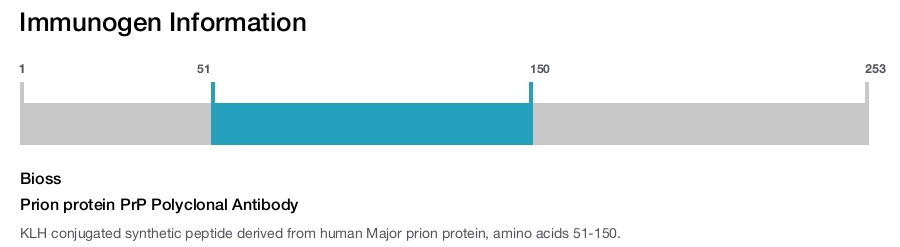Prion protein PrP Polyclonal Antibody