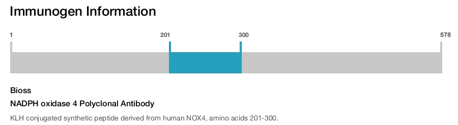 NADPH oxidase 4 Polyclonal Antibody