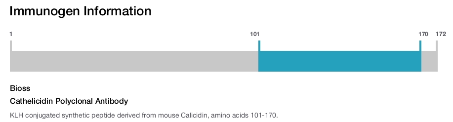 Cathelicidin Polyclonal Antibody