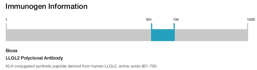 LLGL2 Polyclonal Antibody