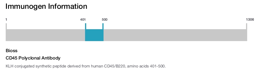 CD45 Polyclonal Antibody