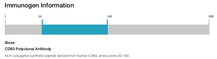 CD83 Polyclonal Antibody