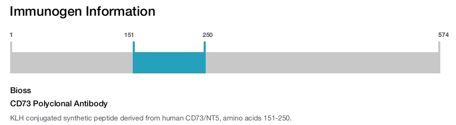 CD73 Polyclonal Antibody