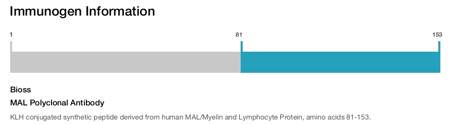 MAL Polyclonal Antibody