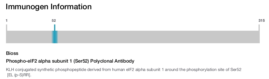 Phospho-eIF2 alpha subunit 1 (Ser52) Polyclonal Antibody