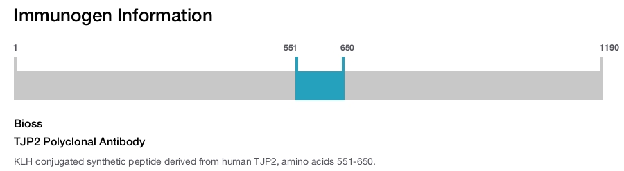 TJP2 Polyclonal Antibody