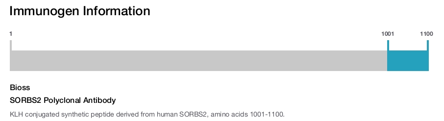 SORBS2 Polyclonal Antibody