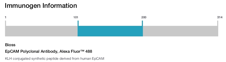 EpCAM Polyclonal Antibody, Alexa Fluor&trade; 488