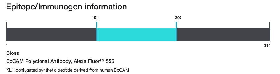 EpCAM Polyclonal Antibody, Alexa Fluor&trade; 555