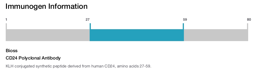 CD24 Polyclonal Antibody