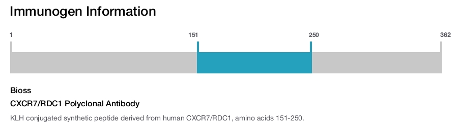 CXCR7/RDC1 Polyclonal Antibody
