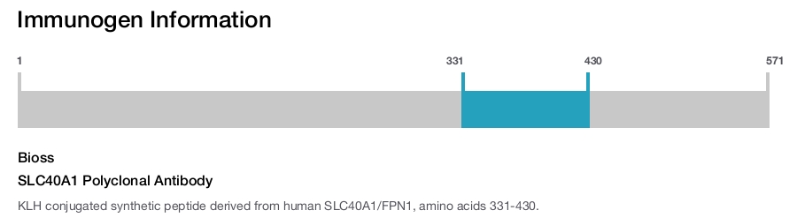 SLC40A1 Polyclonal Antibody