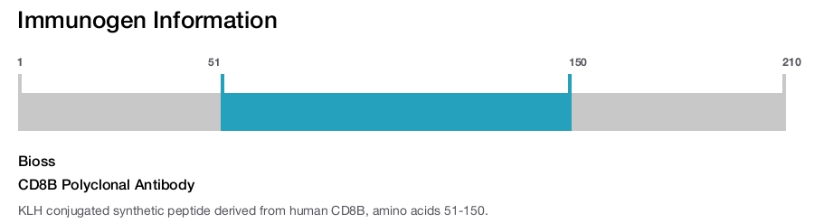 CD8B Polyclonal Antibody