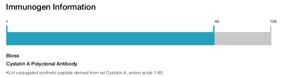 Cystatin A Polyclonal Antibody