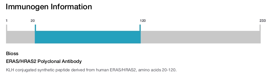 ERAS/HRAS2 Polyclonal Antibody