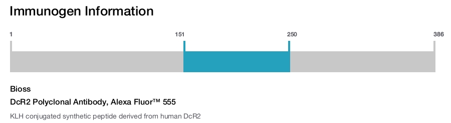 DcR2 Polyclonal Antibody, Alexa Fluor&trade; 555