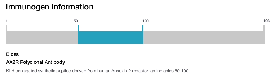 AX2R Polyclonal Antibody