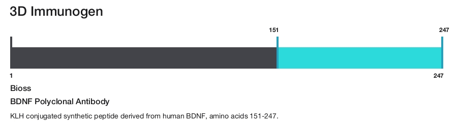 BDNF Polyclonal Antibody