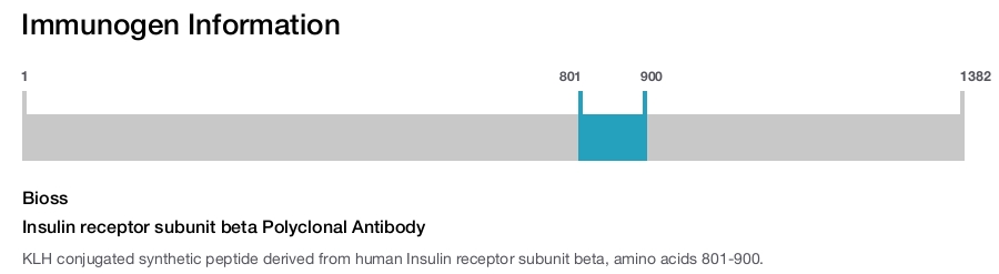 Insulin receptor subunit beta Polyclonal Antibody