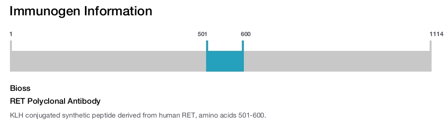 RET Polyclonal Antibody