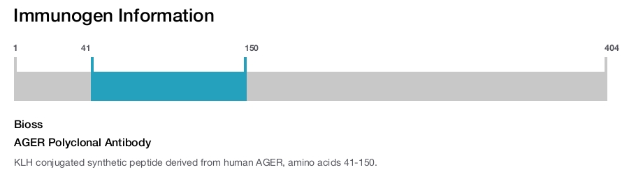 AGER Polyclonal Antibody