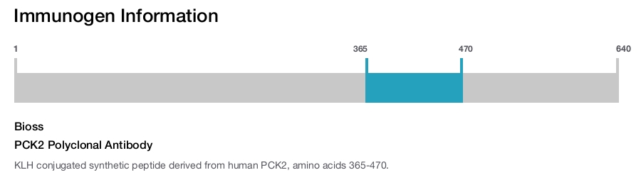 PCK2 Polyclonal Antibody