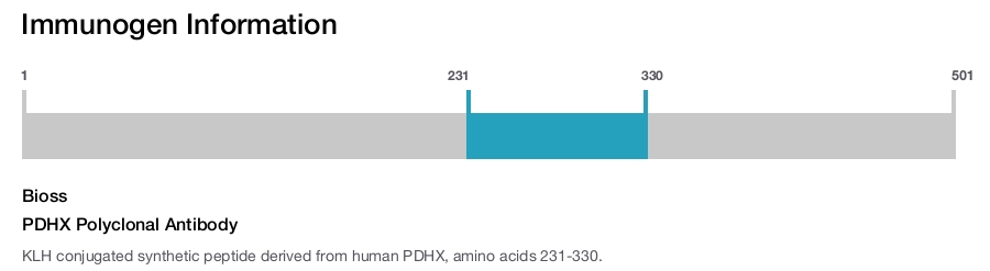 PDHX Polyclonal Antibody