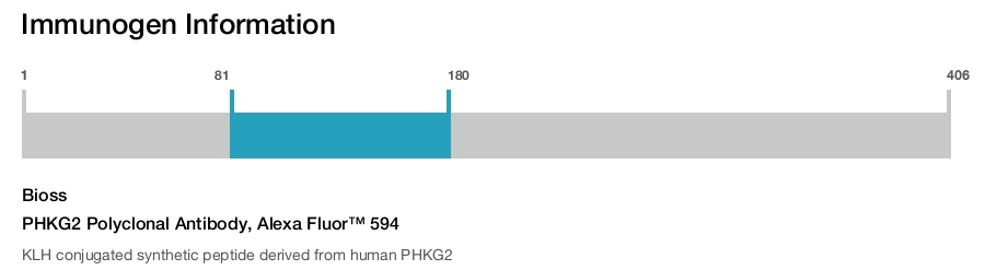 PHKG2 Polyclonal Antibody, Alexa Fluor&trade; 594