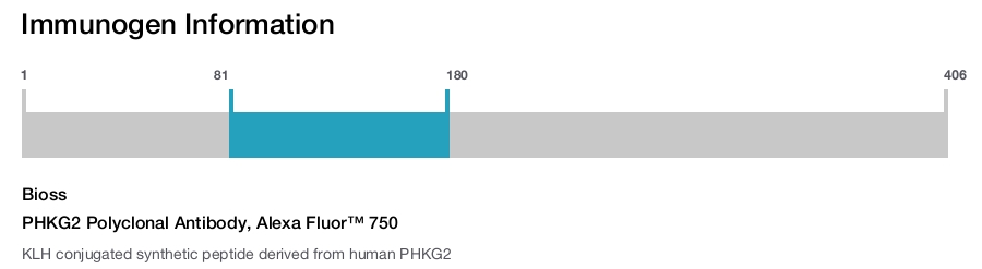 PHKG2 Polyclonal Antibody, Alexa Fluor&trade; 750