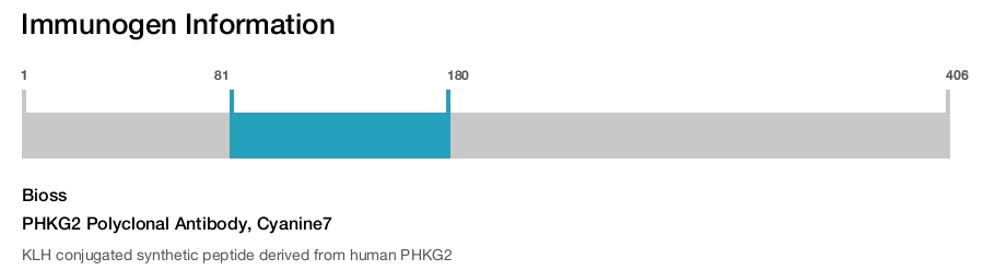 PHKG2 Polyclonal Antibody, Cyanine7