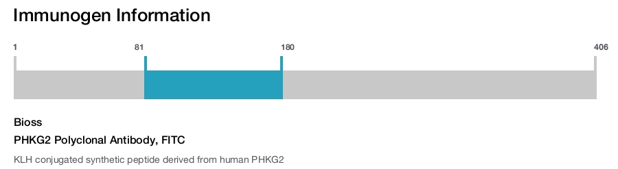 PHKG2 Polyclonal Antibody, FITC