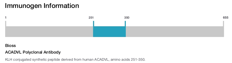 ACADVL Polyclonal Antibody